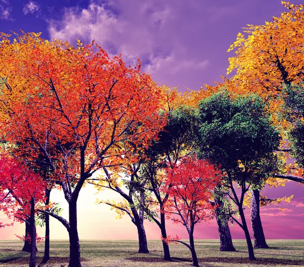 Schöne Herbstlandschaft — Stockfoto