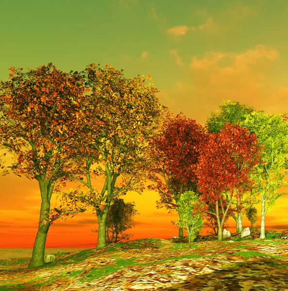 Autumn landscape — Stock Photo, Image