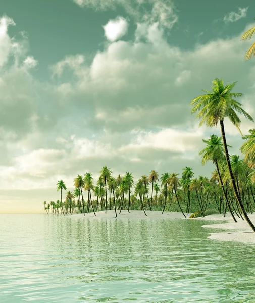 Tropikal ada — Stok fotoğraf