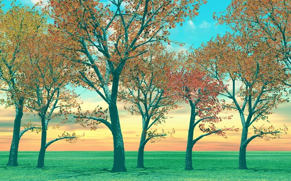 Gyönyörű őszi fák — Stock Fotó