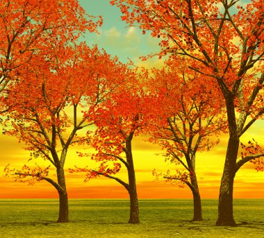 güzel sonbahar ağaçlar