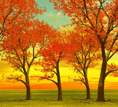 Beautiful autumn trees clipart