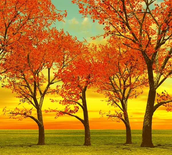 Smukke efterårstræer - Stock-foto