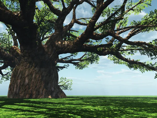 クレムリンのパノラマ令人印象深刻的猴面包树 — 图库照片
