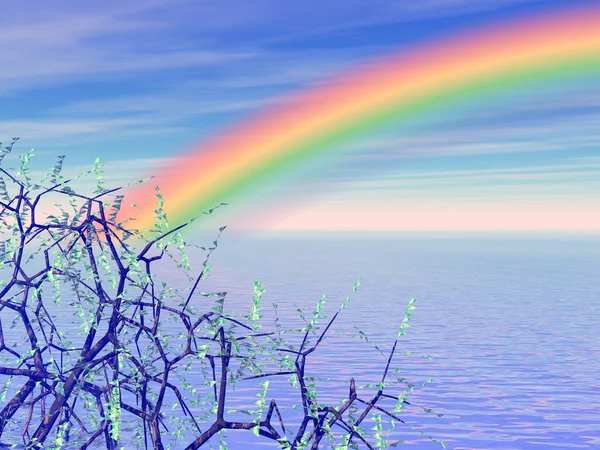 Mooie regenboog — Stockfoto