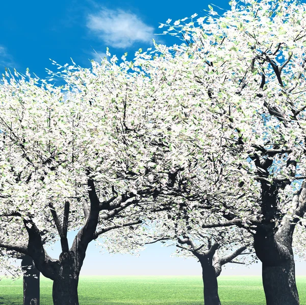 Bela paisagem primavera — Fotografia de Stock