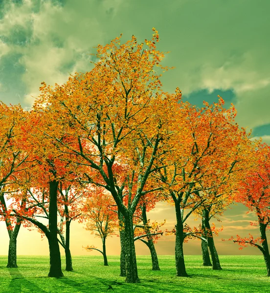 美丽的秋天 — 图库照片