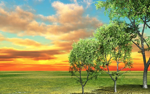 Stromy při západu slunce — Stock fotografie