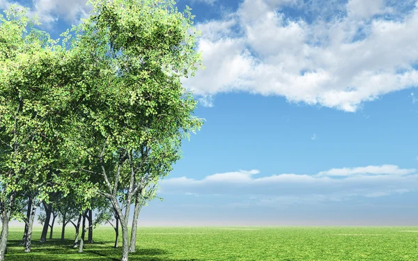 Vackert landskap med träd — Stockfoto