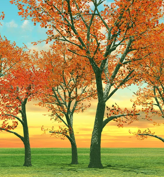 Beaux arbres d'automne — Photo