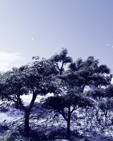Beau paysage d'hiver avec des arbres — Photo