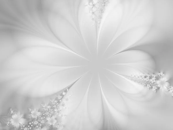 美しい花 — ストック写真