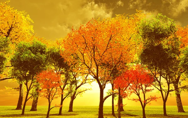 Beau paysage d'automne — Photo
