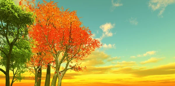 秋天的风景 — 图库照片#