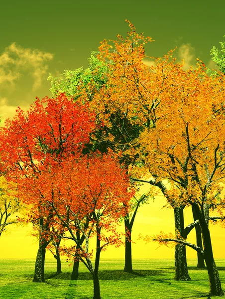 Krásný podzimní západ slunce — Stock fotografie