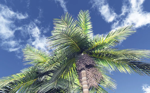 Beautiful cloudscape — Stock Photo, Image