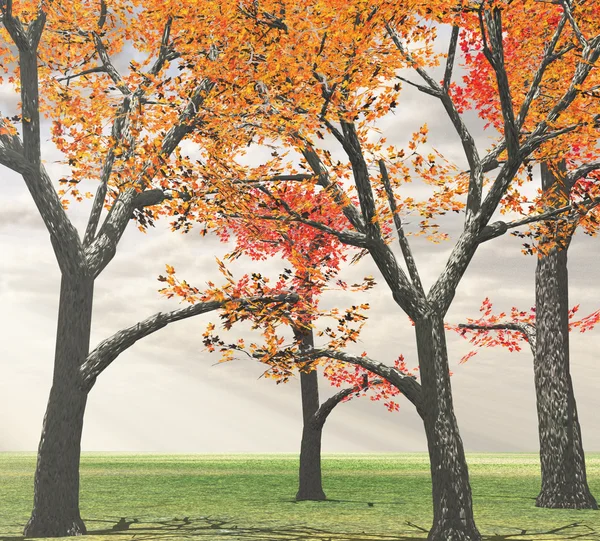 Sonbahar manzarası — Stok fotoğraf