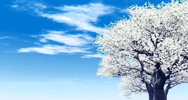 Красивое цветущее дерево — стоковое фото