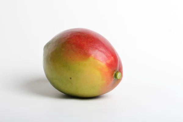 Mango isoliert — Stockfoto