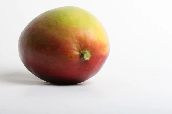 Mango izole edildi — Stok fotoğraf