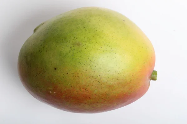 Mango isoliert — Stockfoto