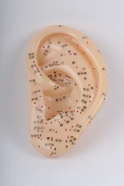 Punti meridiani dell'orecchio di agopuntura Foto Stock