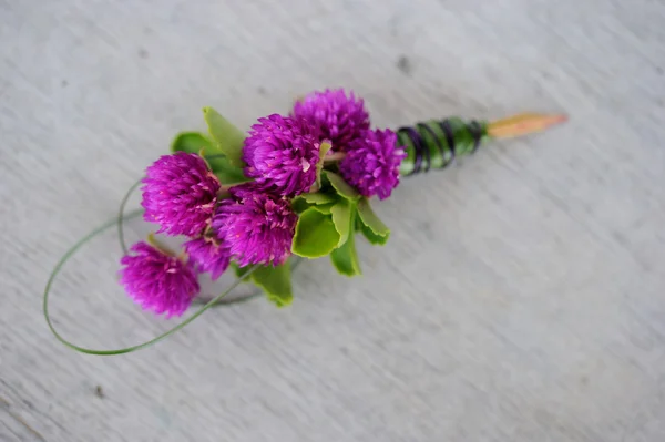 Yaka çiçeği — Stok fotoğraf