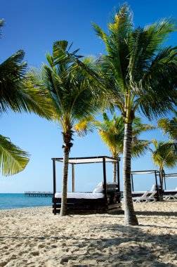 Beach Cabana Bed And Palm Trees clipart