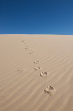 Footprints in the sand with a blue sky