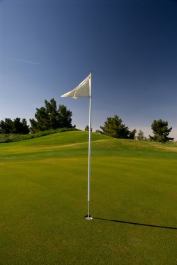 Golf Course Green With Flag clipart