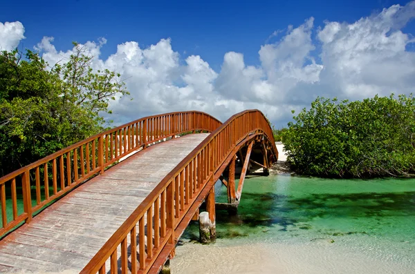 stock image Arched Wooden Bridge