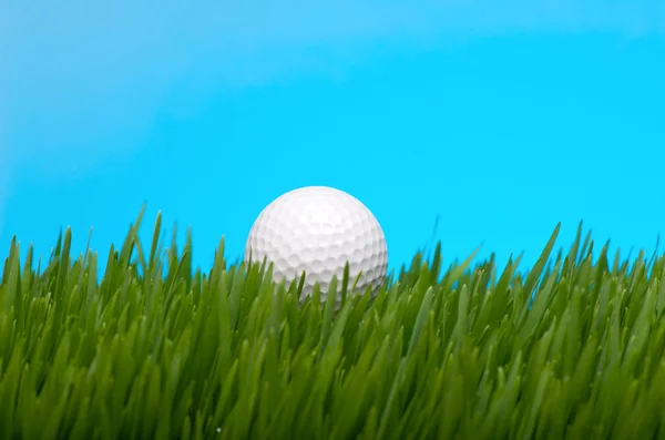 Golflabda a magas fűben — Stock Fotó