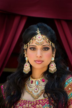 Portrait of a beautiful Indian Bride clipart