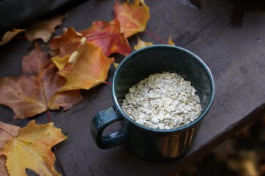 Oatmeal and Autumn Camping clipart