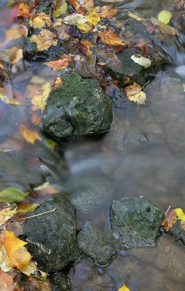 Sonbahar akışı ve kaya — Stok fotoğraf
