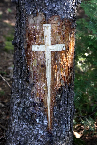 Carved Cross — Stock Photo, Image