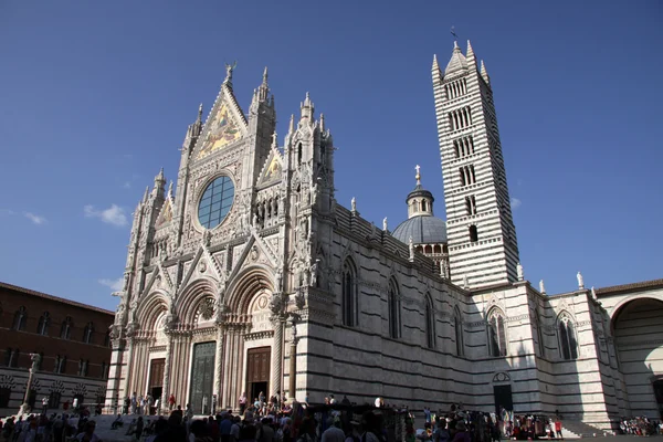 O Duomo de Siena — Fotografia de Stock