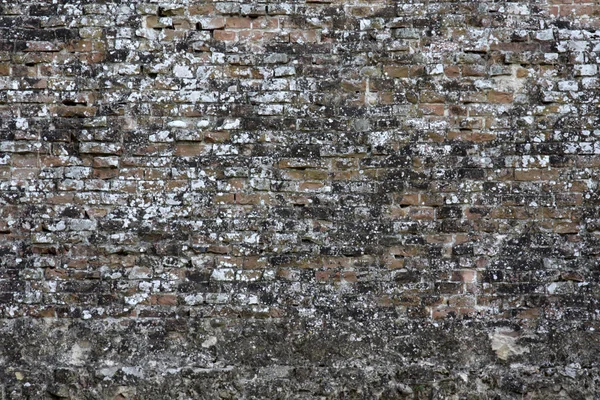 Muralla en Siena — Foto de Stock