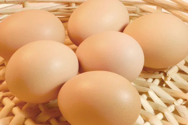 Huevos en cesta — Foto de Stock
