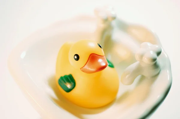 Ducky καουτσούκ — Φωτογραφία Αρχείου