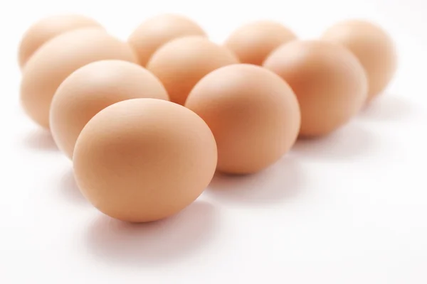 Beown vejce — Stock fotografie