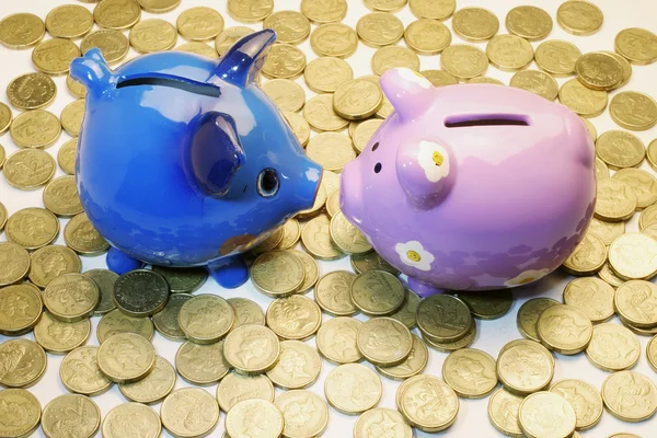 Piggy Banks and Coins — Stock Photo, Image