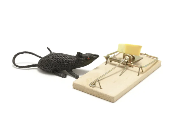 Hračka myš a past — Stock fotografie