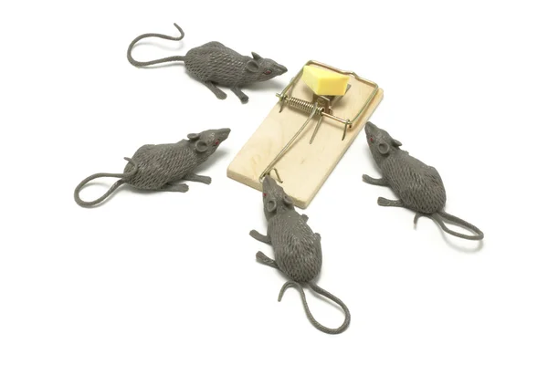 Zabawka mice i pułapki — Zdjęcie stockowe