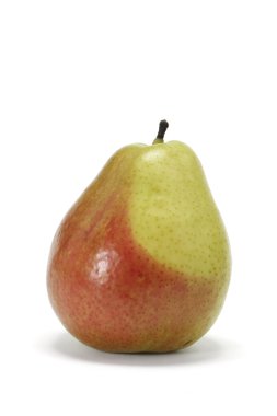 Corella Pear clipart