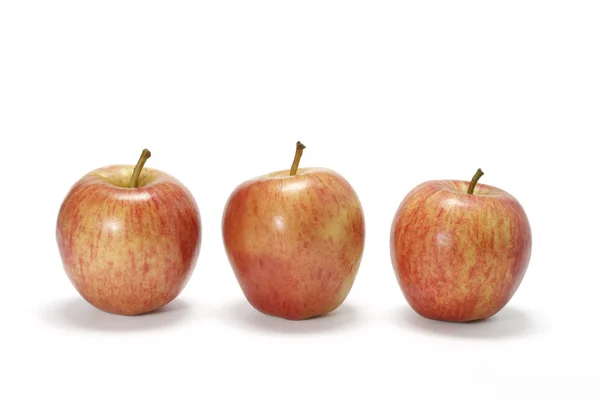 Gala-Äpfel — Stockfoto