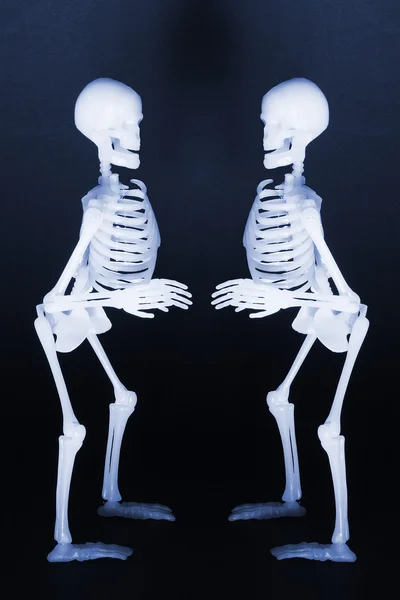 Skelette — Stockfoto