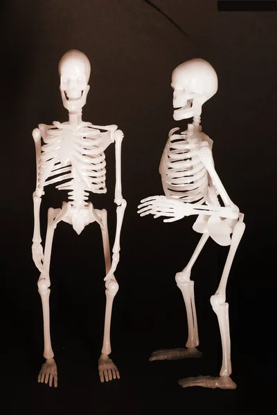 Iskelet — Stok fotoğraf
