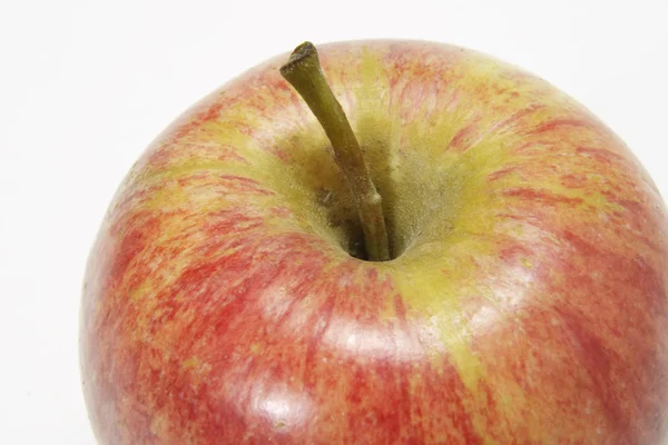 Gala jabłko — Zdjęcie stockowe