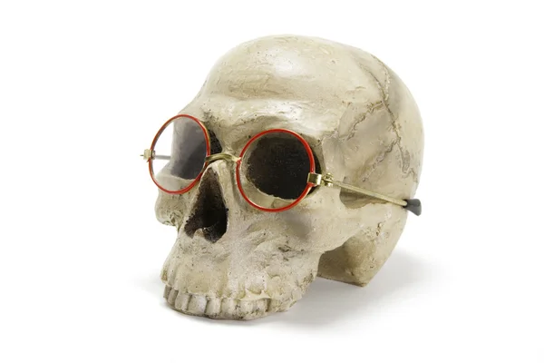 Totenkopf mit Brille — Stockfoto